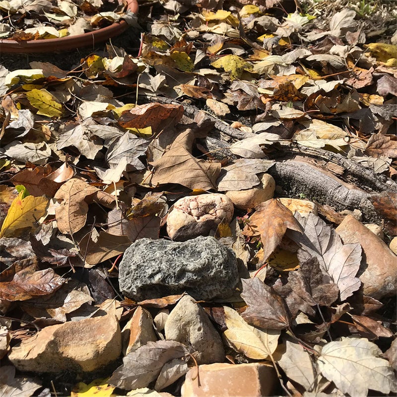 PANGAEA (Type-A (Black), 1 Pack) Fake Rock - Looks Stone - Safe for Outdoor Outdoor Secret Safe Box for Keys, Fake Stone Rock Yard House Accessories - Image 4
